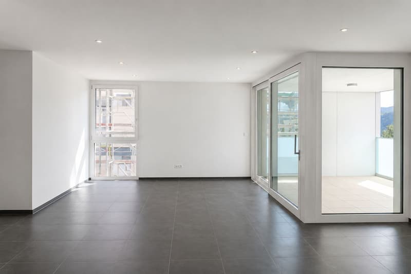 Spacious 4.5-room apartment with large terrace (2)