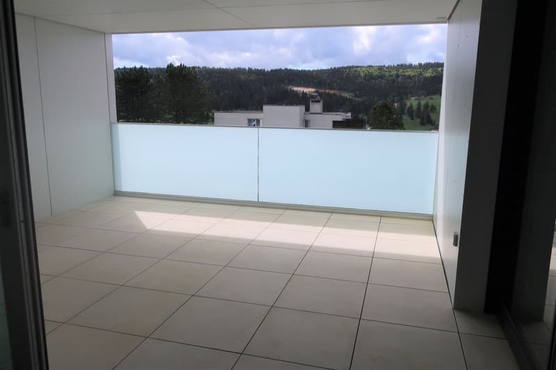 Spacious 4.5-room apartment with large terrace (5)
