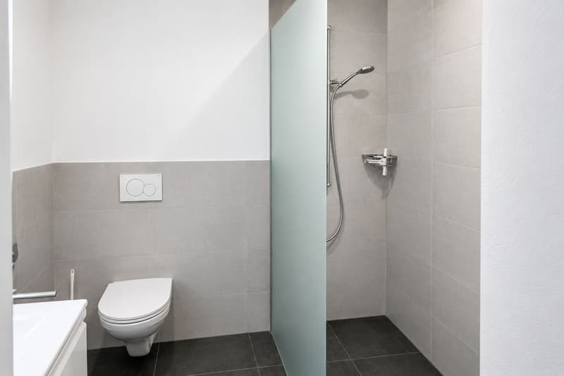 Spacious 4.5-room apartment with large terrace (3)