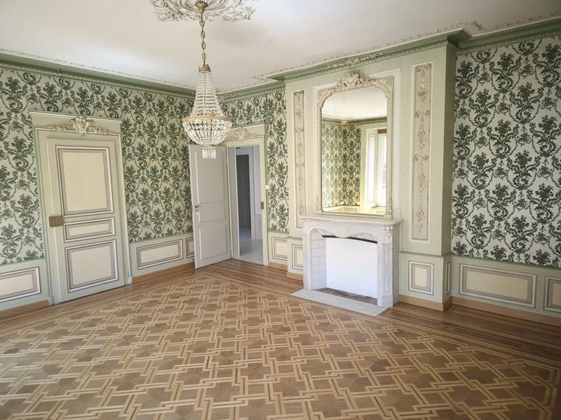 Very large 7.5-room apartment (1)