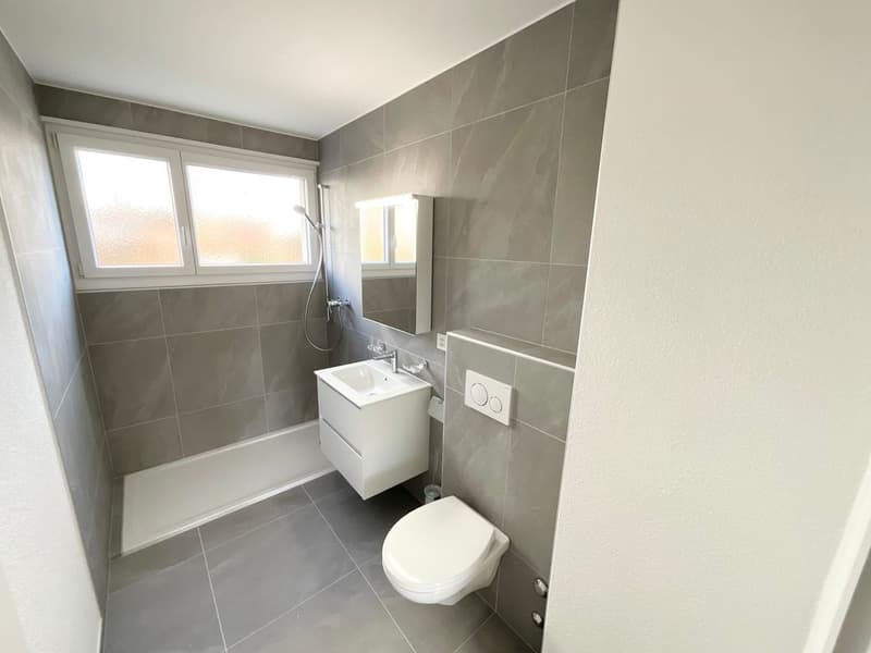 Appartement refait à neuf de 3.5 pièces (7)
