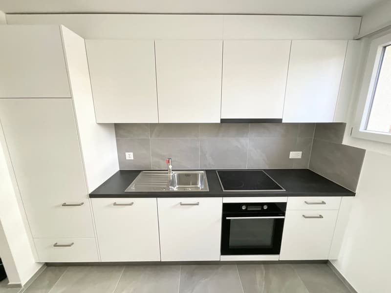 Appartement refait à neuf de 3.5 pièces (1)