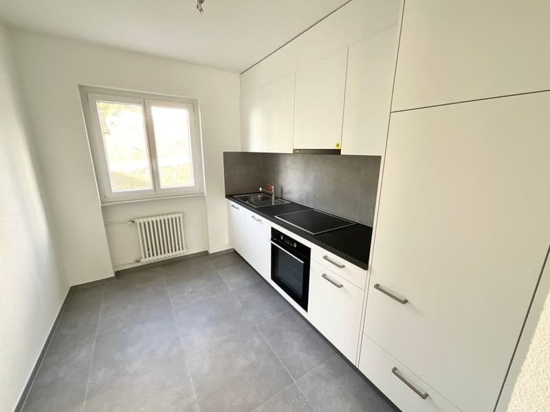Magnifique appartement de 3 pièces refait à neuf avec balcon (1)