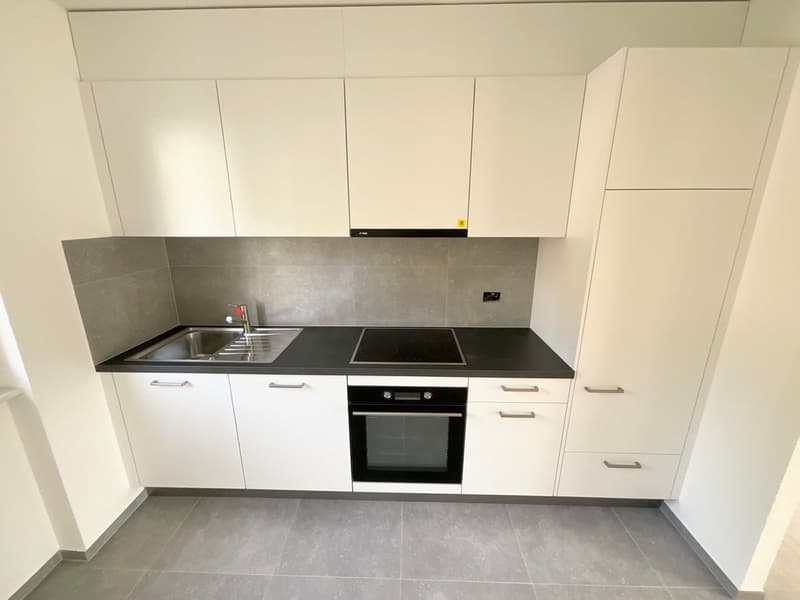 Magnifique appartement de 3 pièces refait à neuf avec balcon (2)