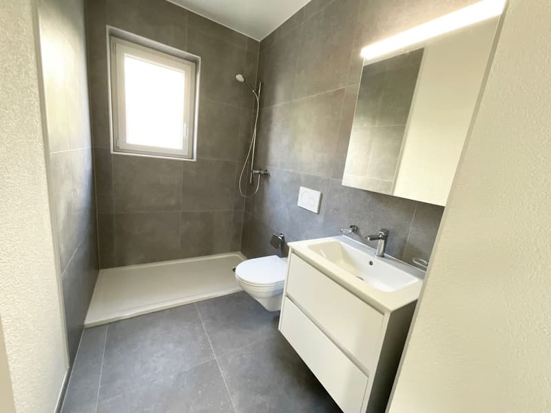 Magnifique appartement de 3 pièces refait à neuf avec balcon (7)