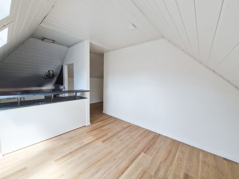 Charmant appartement mansardé de 2,5 pièces (4)