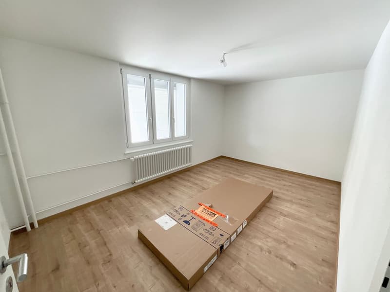 Appartement rénové de 3 pièces avec terrasse privée (5)