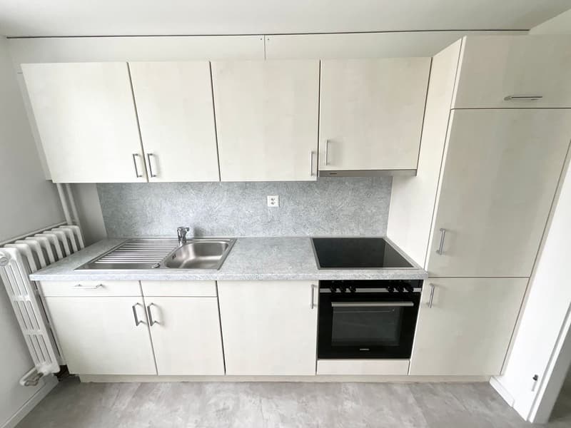 Appartement rénové de 3 pièces avec terrasse privée (1)