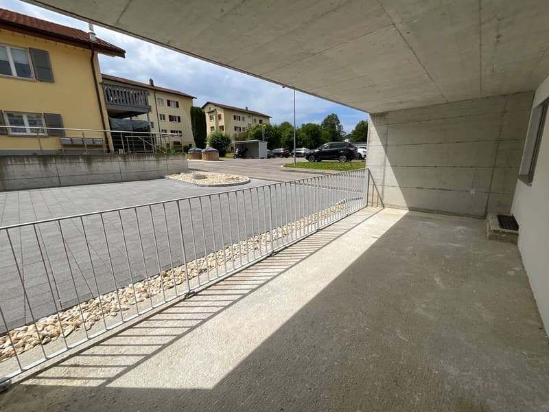 Appartement rénové de 3 pièces avec terrasse privée (7)