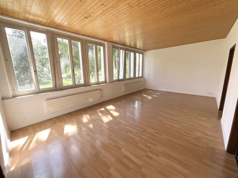 Appartement lumineux au rez-de-chaussée - beaux volumes et espaces polyvalents (6)