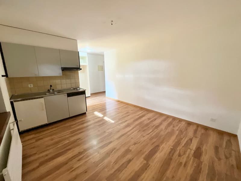 Studio de 23 m² au centre du village (1)