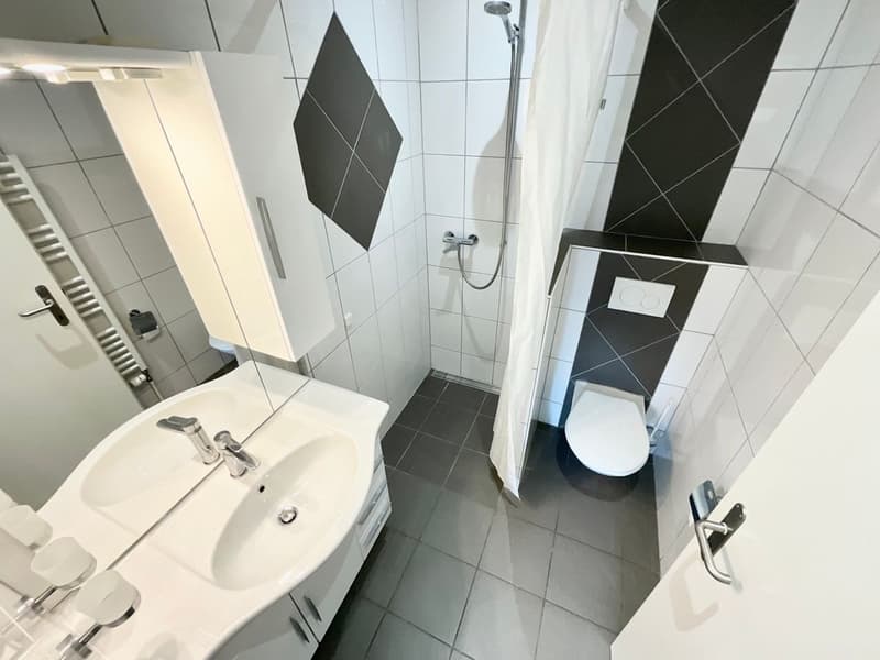 Super appartement de 2 pièces (7)
