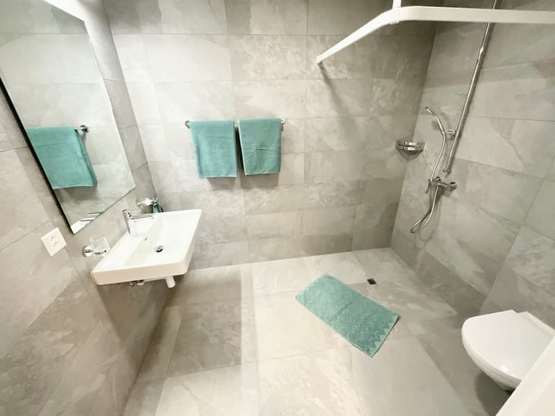 Appartements neufs de 2.5 pièces avec Loggia - Confort moderne, durabilité et qualité de vie au coeur du village (7)