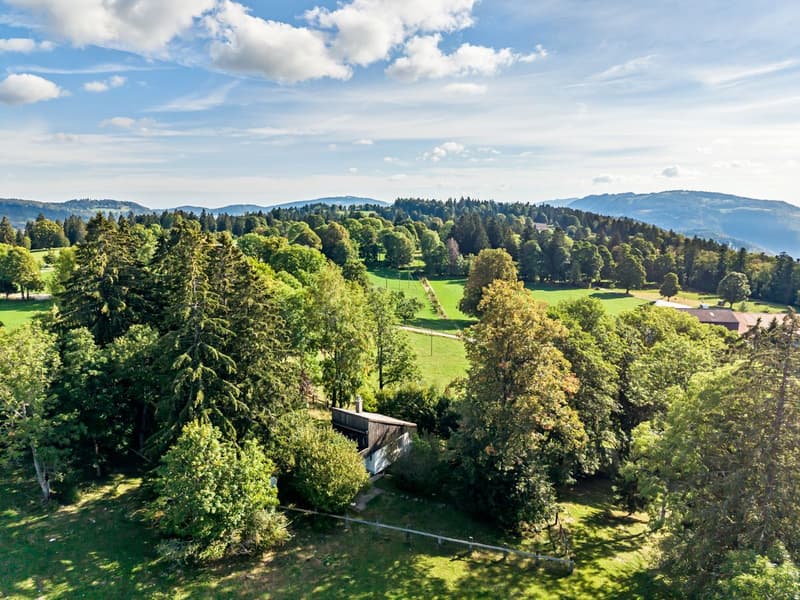 Un refuge au coeur des crêtes jurassiennes 2'520 m² de nature (1)