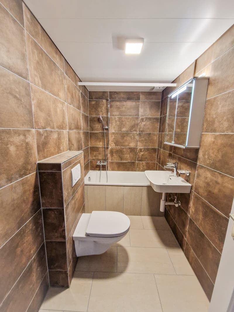 Appartement 4,5 pièces au coeur du village (7)