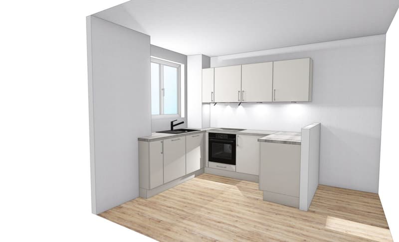 Appartement 2,5 pièces avec cuisine neuve (1)