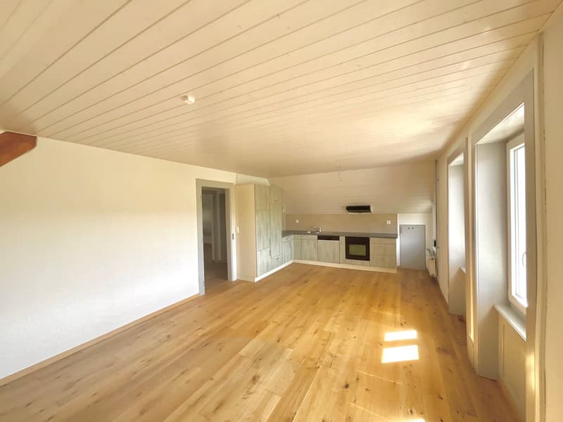 Charmant appartement de 3 pièces (2)