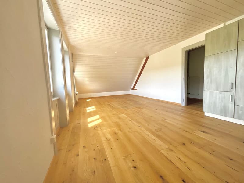 Charmant appartement de 3 pièces (3)