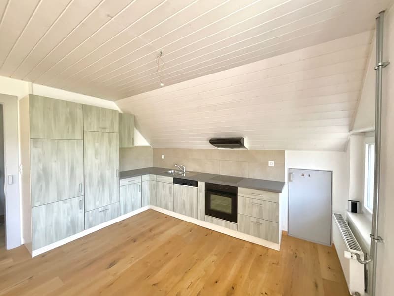 Charmant appartement de 3 pièces (1)