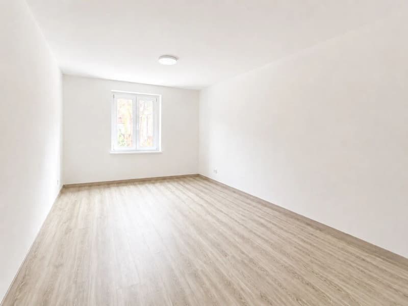 Appartement 4.5 Pièces à Louer à Courrendlin (4)