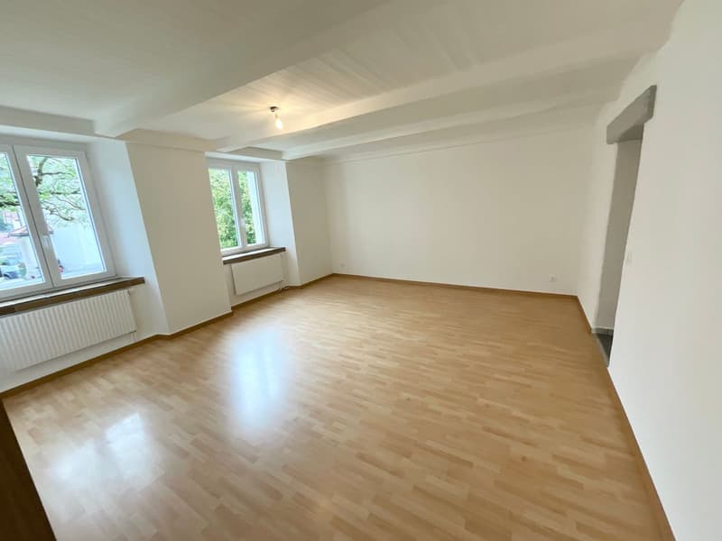 Appartement de 2,5 pièces entièrement rénové avec entrée indépendante et espace extérieur (5)