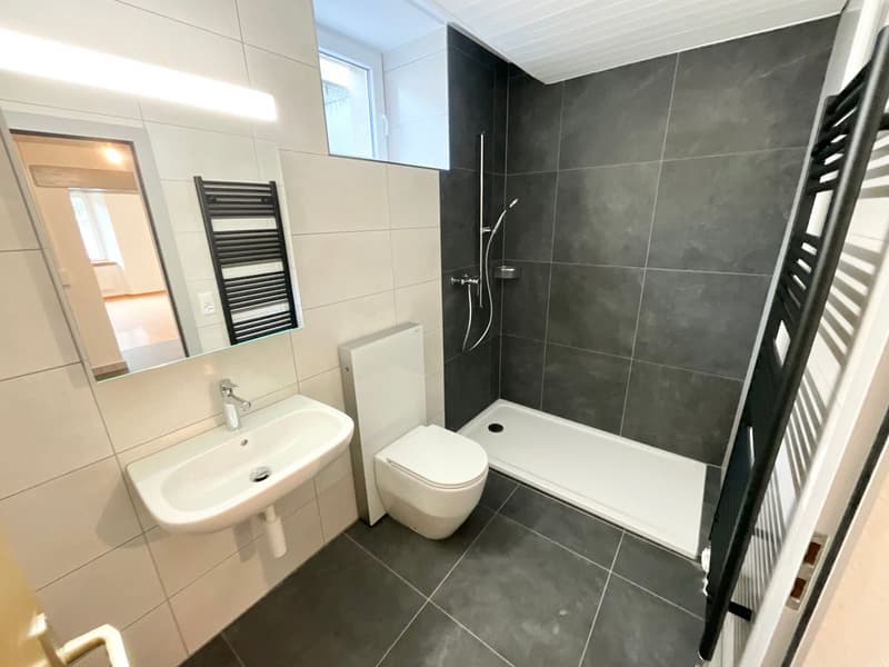 Appartement de 2,5 pièces entièrement rénové avec entrée indépendante et espace extérieur (3)