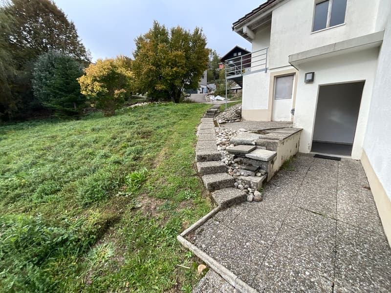 Appartement de 2,5 pièces entièrement rénové avec entrée indépendante et espace extérieur (7)