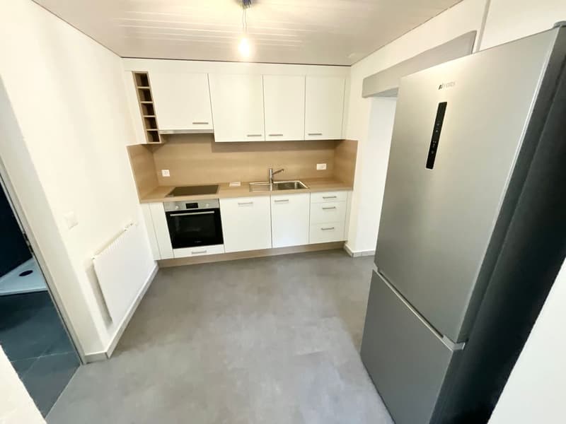 Appartement de 2,5 pièces entièrement rénové avec entrée indépendante et espace extérieur (1)