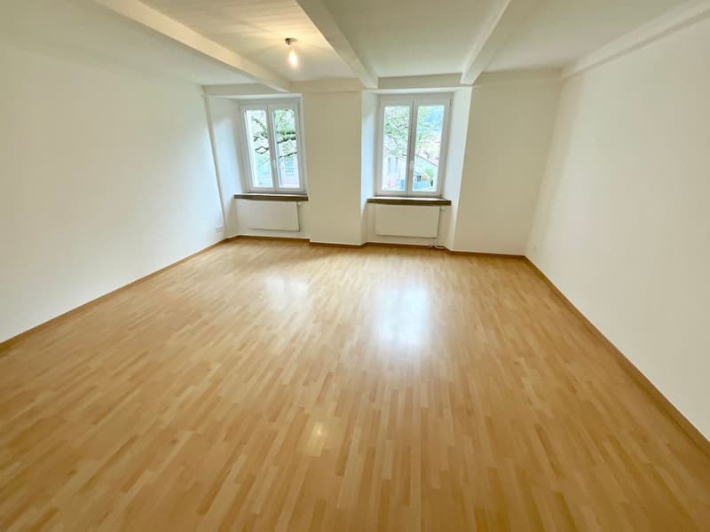 Appartement de 2,5 pièces entièrement rénové avec entrée indépendante et espace extérieur (4)