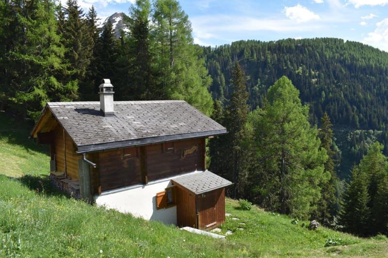 Wooden cabin in a mountainous, forested area with a balcony and scenic views