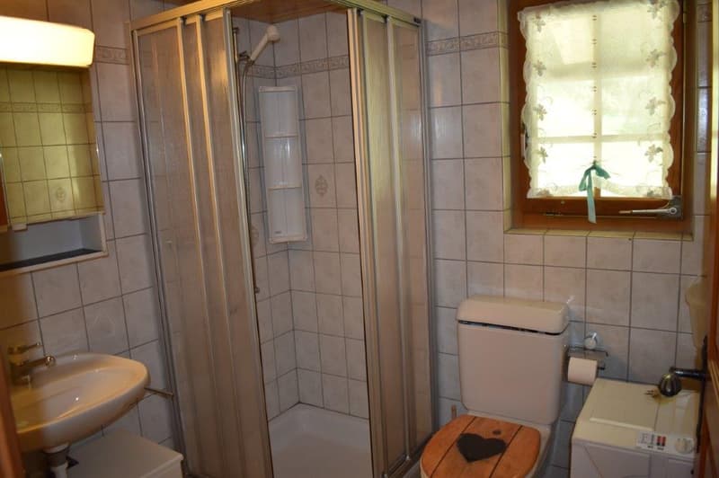 Tiled bathroom with shower enclosure, toilet, sink, and washing machine