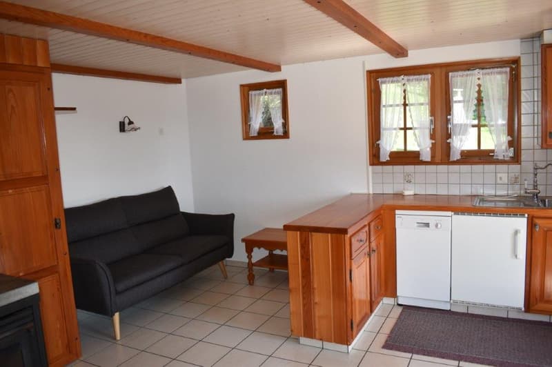 Cozy Alpine Hut / Chalet in Idyllic Mountain Landscape (2 apartments approved) (14)