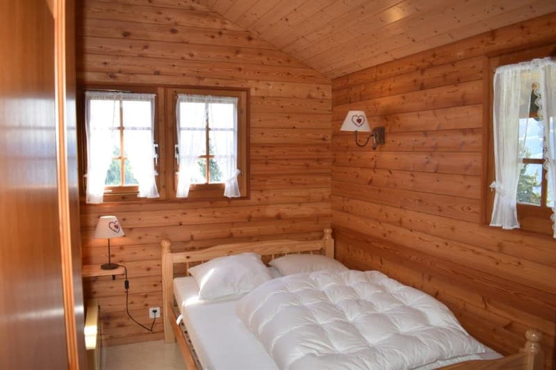 Cozy Alpine Hut / Chalet in Idyllic Mountain Landscape (2 apartments approved) (10)