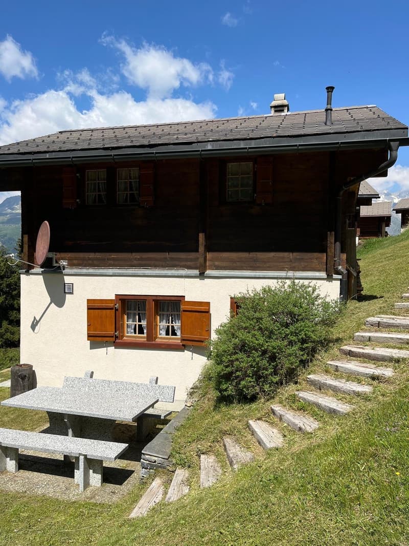 Cozy Alpine Hut / Chalet in Idyllic Mountain Landscape (2 apartments approved) (4)