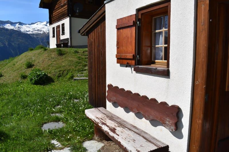 Cozy Alpine Hut / Chalet in Idyllic Mountain Landscape (2 apartments approved) (18)