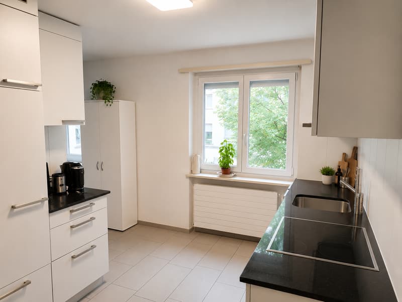 Appartamento 6.5 locali con piano spazioso e ampio balcone/terrazza (2)
