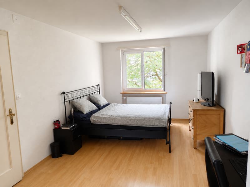 Geräumige 6.5 Zimmerwohnung im Zentrum (5)