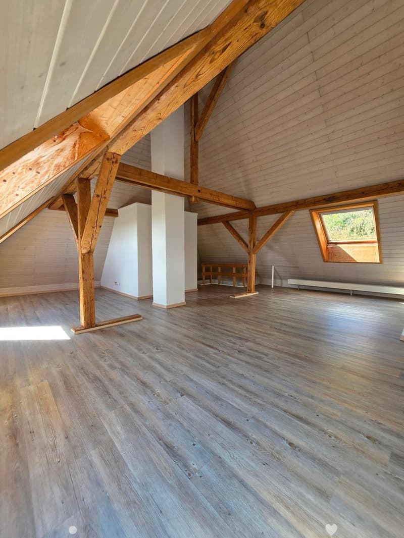 3.5 Zimmerwohnung mit Galerie (1)