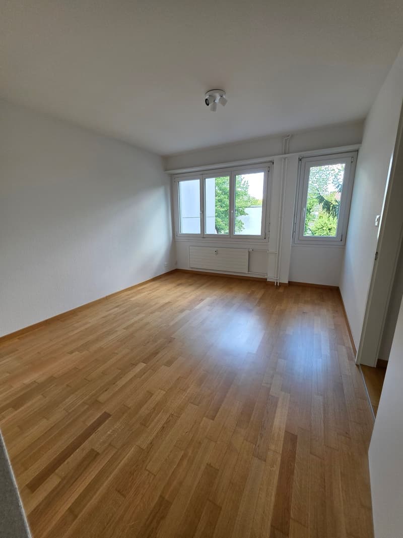 Ausgefallene 2.5 Zimmerwohnung mit Balkon / Hochparterre mit Lift (13)