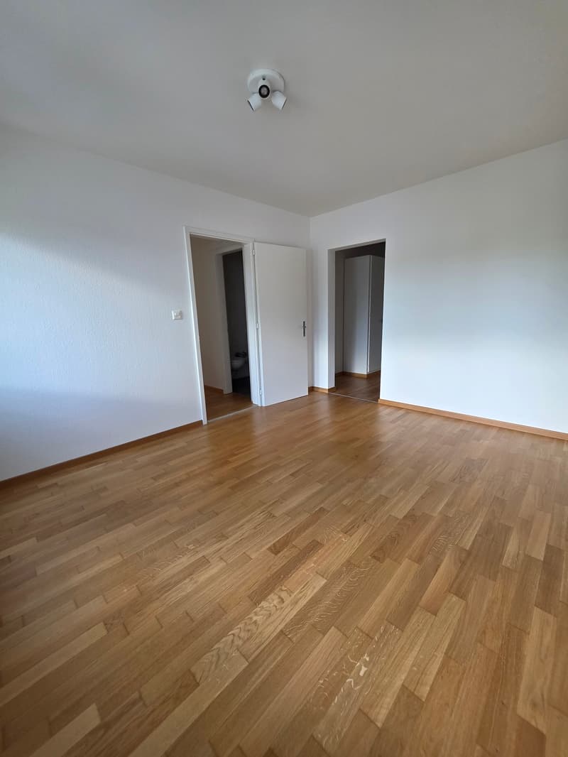 Ausgefallene 2.5 Zimmerwohnung mit Balkon / Hochparterre mit Lift (11)