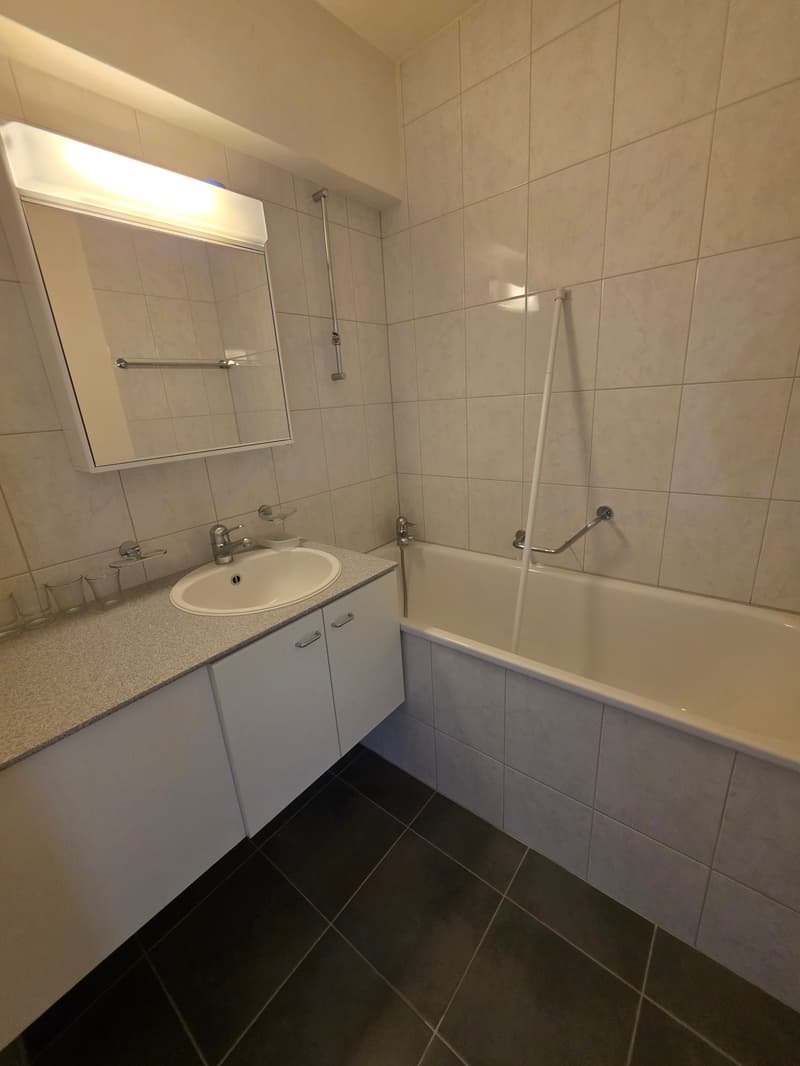 Ausgefallene 2.5 Zimmerwohnung mit Balkon / Hochparterre mit Lift (6)