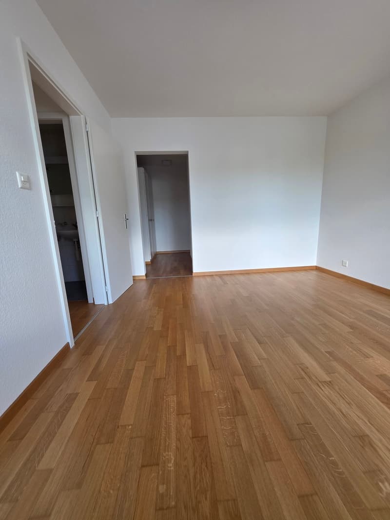 Ausgefallene 2.5 Zimmerwohnung mit Balkon / Hochparterre mit Lift (12)