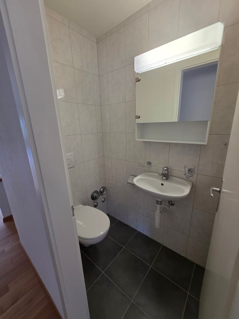 Ausgefallene 2.5 Zimmerwohnung mit Balkon / Hochparterre mit Lift (7)