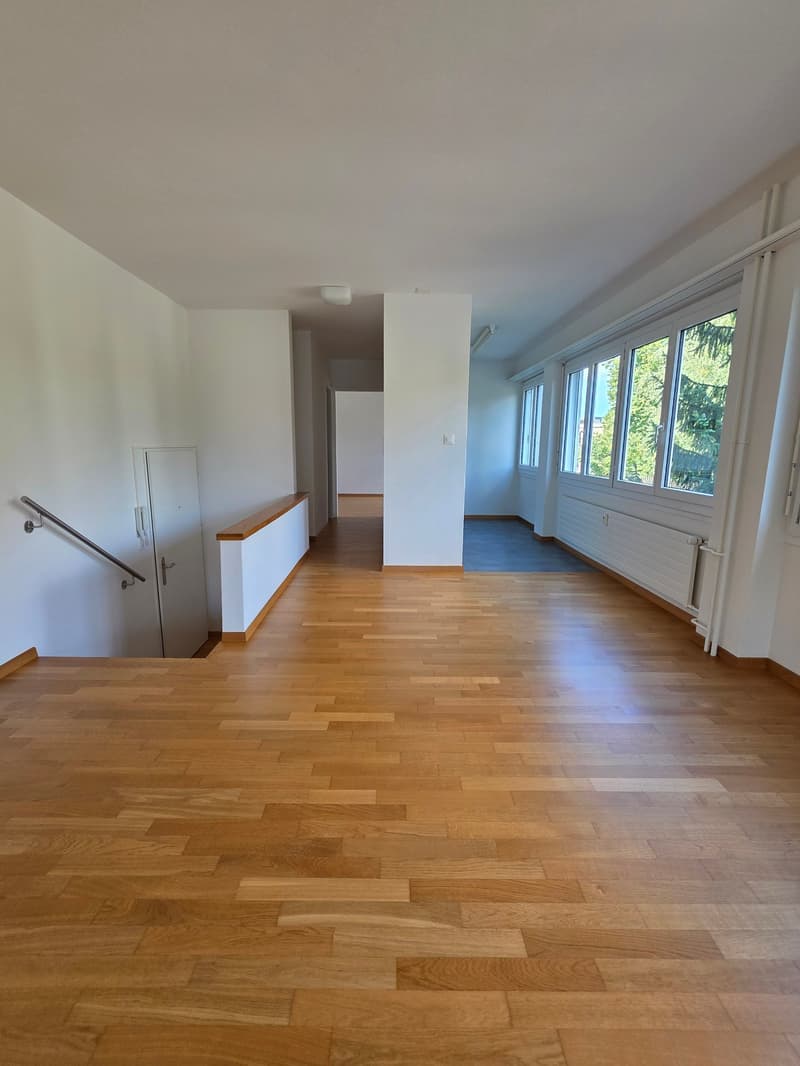 Ausgefallene 2.5 Zimmerwohnung mit Balkon / Hochparterre mit Lift (2)