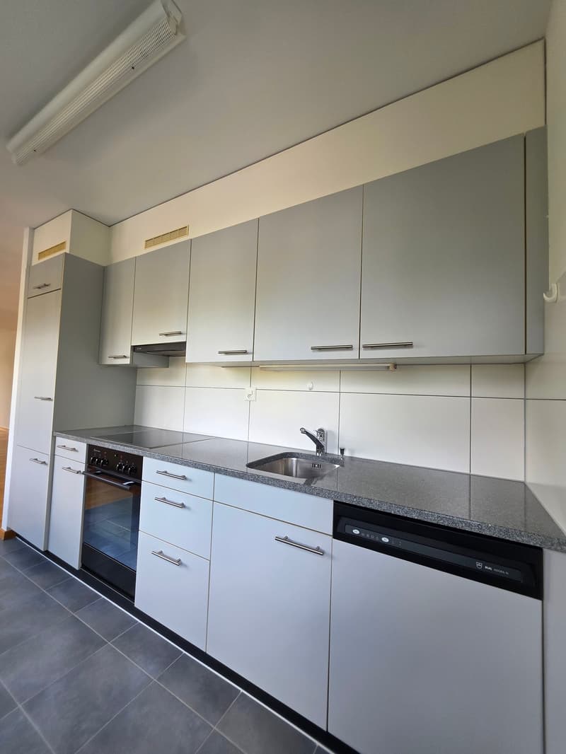 Ausgefallene 2.5 Zimmerwohnung mit Balkon / Hochparterre mit Lift (4)