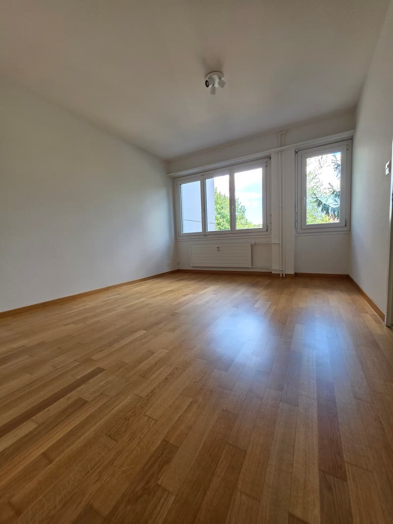 Ausgefallene 2.5 Zimmerwohnung mit Balkon / Hochparterre mit Lift (14)