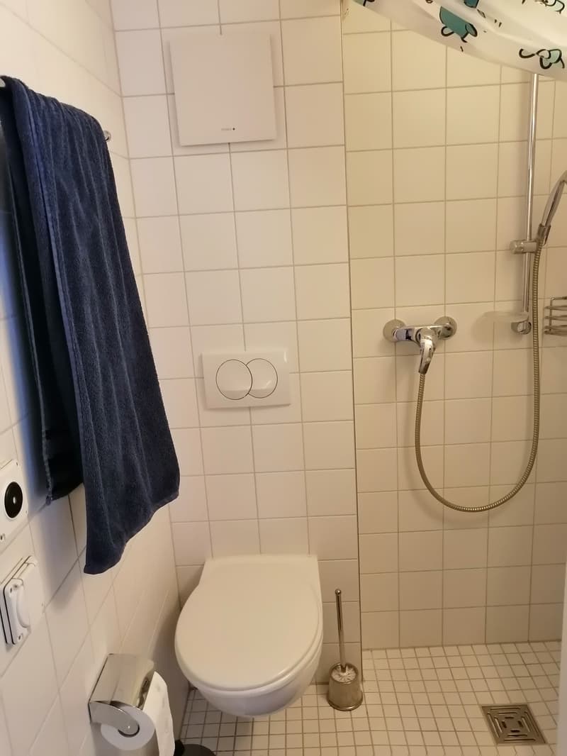 1-Raumwohnung im Zentrum von Biel / Referenz 11031 (3)