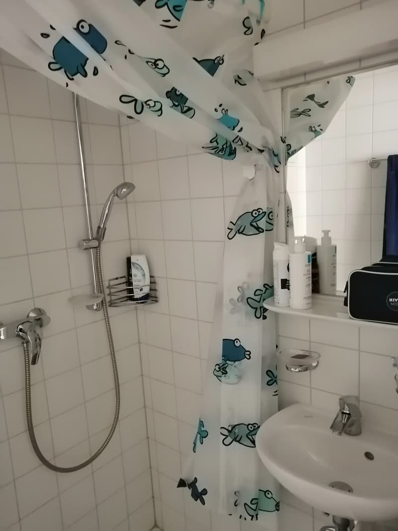 1-Raumwohnung im Zentrum von Biel / Referenz 11031 (4)