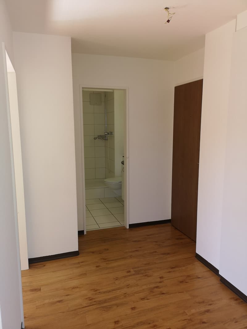 2.5 Zimmerwohnung im Zentrum von Biel / 11043 (3)