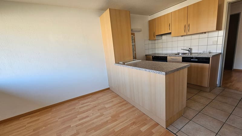 Bellissimo appartamento di 4,5 locali al 1° piano (2)